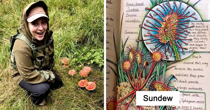Woman Decides To 'Record' The Things She's Discovering, Starts A Journal To Illustrate The Natural World