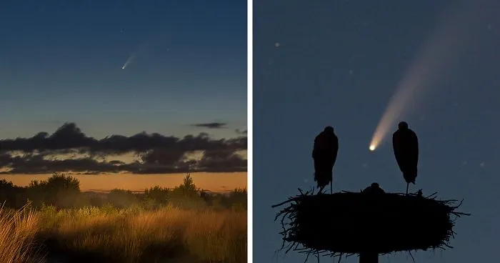 I've Used A Once-In-A-Lifetime Chance To Capture The Neowise Comet (13 Pics)