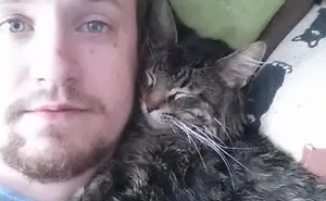 40 ‘My House, Not My Cat’ Pics That You Will Love If You’ve Ever Wanted To Find A Strange Cat Show Up In Your Home