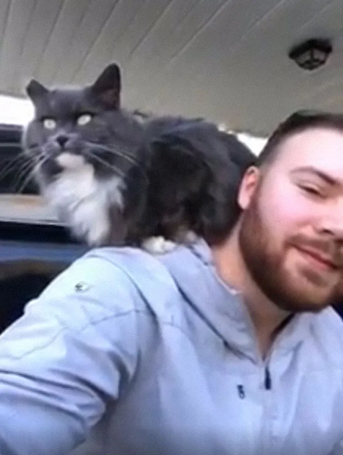 Este es mi garaje pero no es mi gato. Entre la vecina y yo, debe comer 7 veces al día