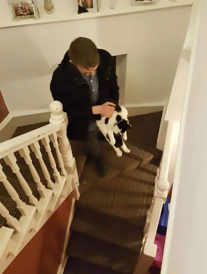 This Is Sharon. Sharon Would Sneak In The House On A Daily Basis And Pretend To Be Asleep When We Had To Escort Her Out. Sharon Is Not Our Cat, Nor Do We Know If She Is Actually Called Sharon