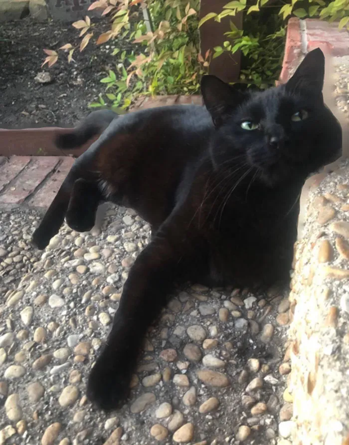 This Beautiful Girl Visits Almost Every Day For Breakfast! We’ve Named Her “Magic”