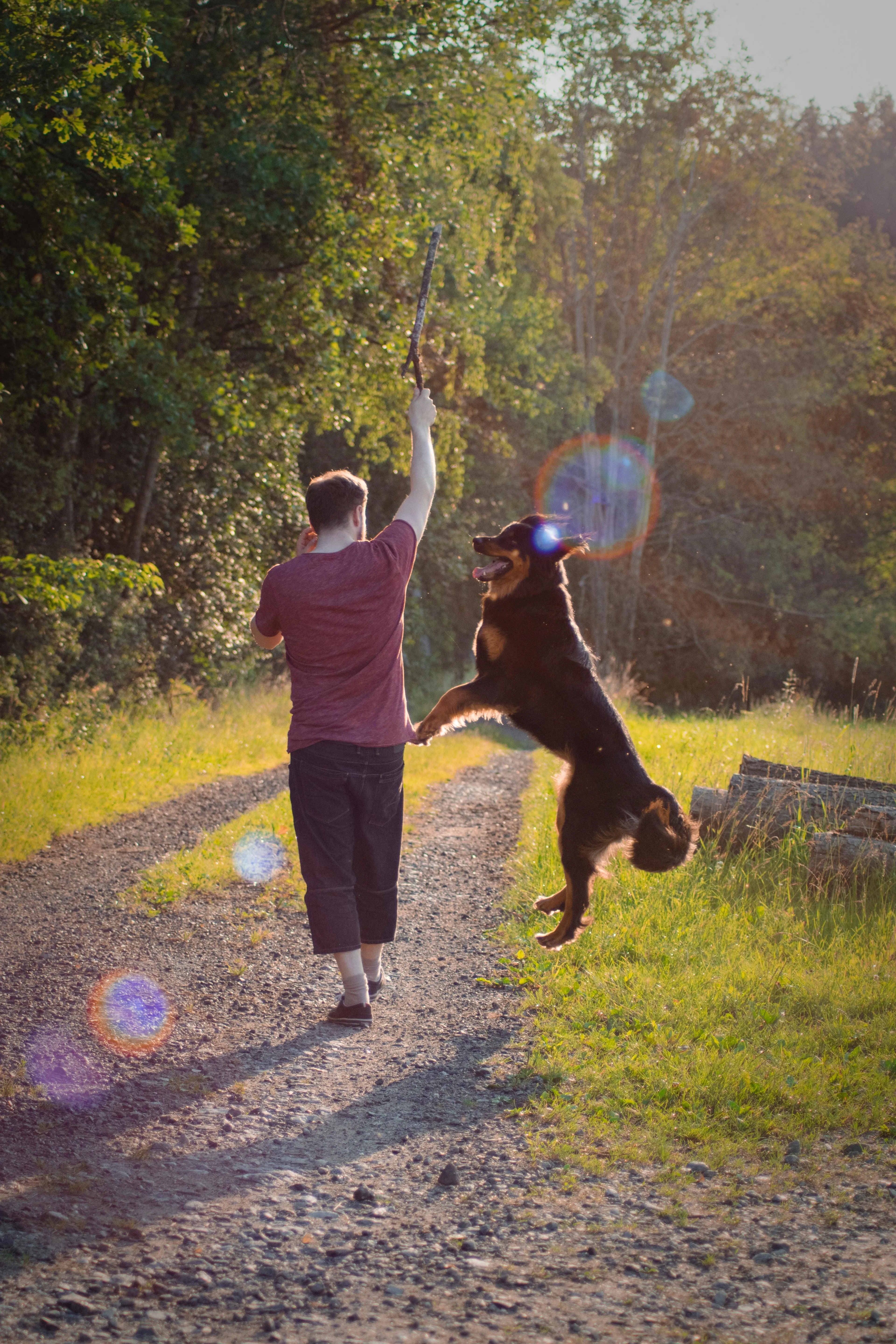 Helping Your Animals Through Challenging Times