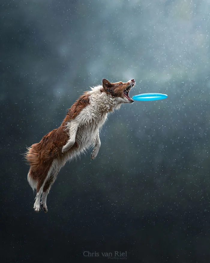 Flying Trough A Sky Full Of Bokeh