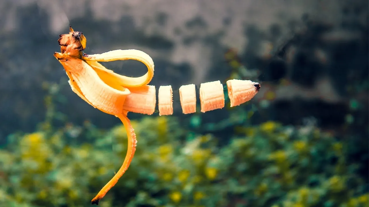 Banana Creative Photography