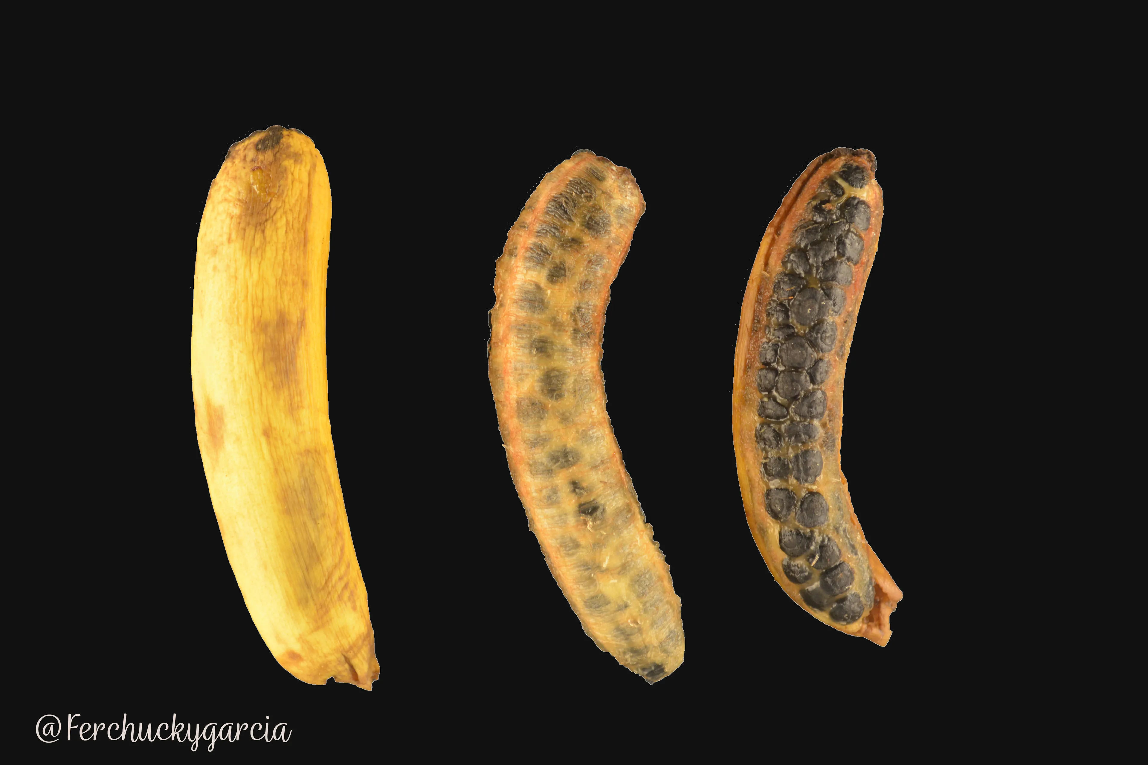 That´s Bananas!