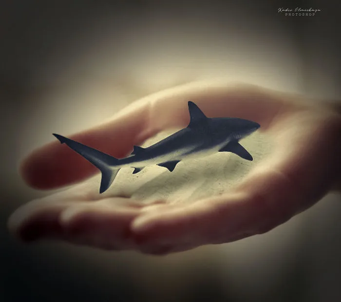 I Create These Photo Manipulations With Animals And Nature (10 Pics)