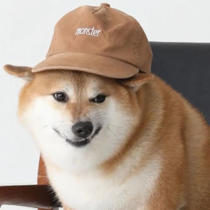 You’re This Shiba Inu And Life Is A Joke