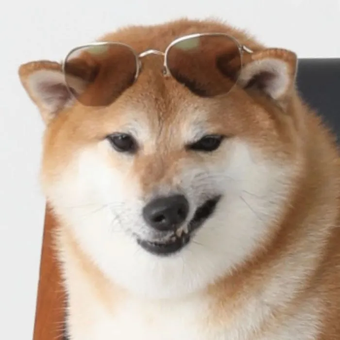 This Shiba’s Face Is My Default Reaction To Everything
