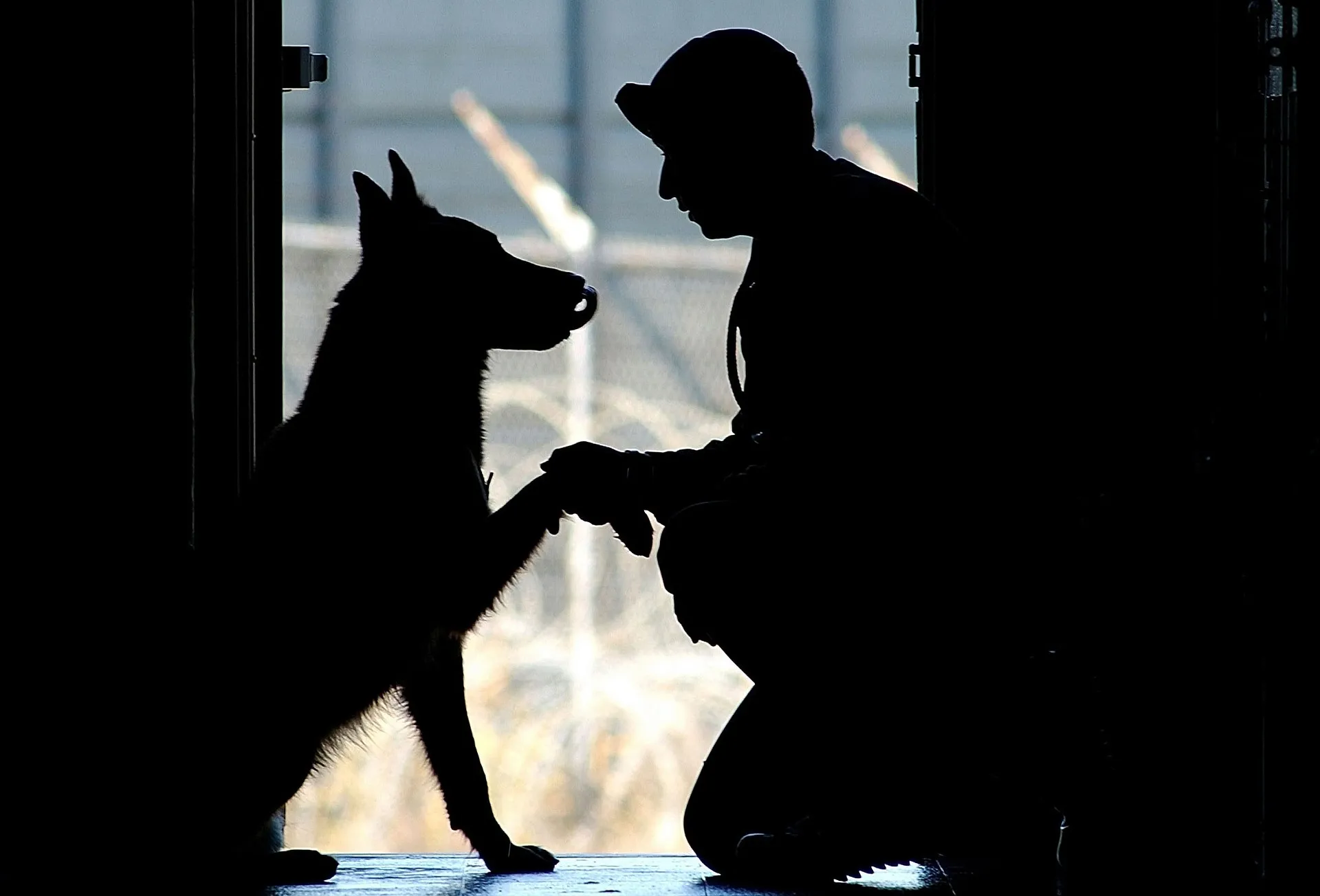 8 Wonderful Dog Stories
by Miss Cellania