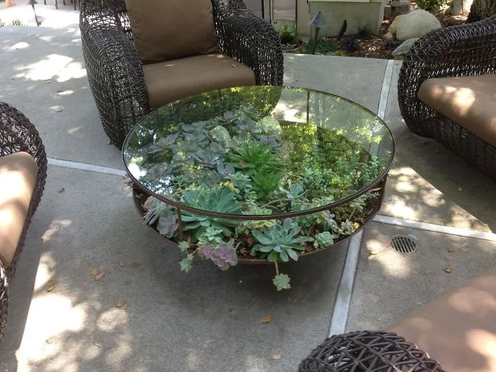 31 Times People Made Their Home Greener By Turning Tables Into Succulent Gardens