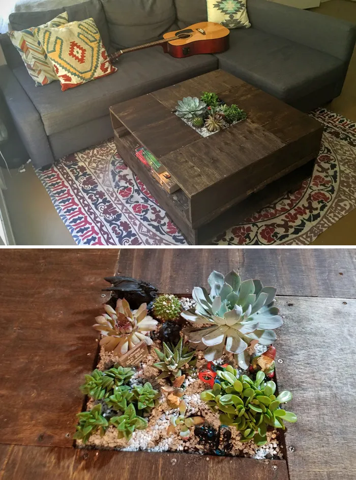 31 Times People Made Their Home Greener By Turning Tables Into Succulent Gardens