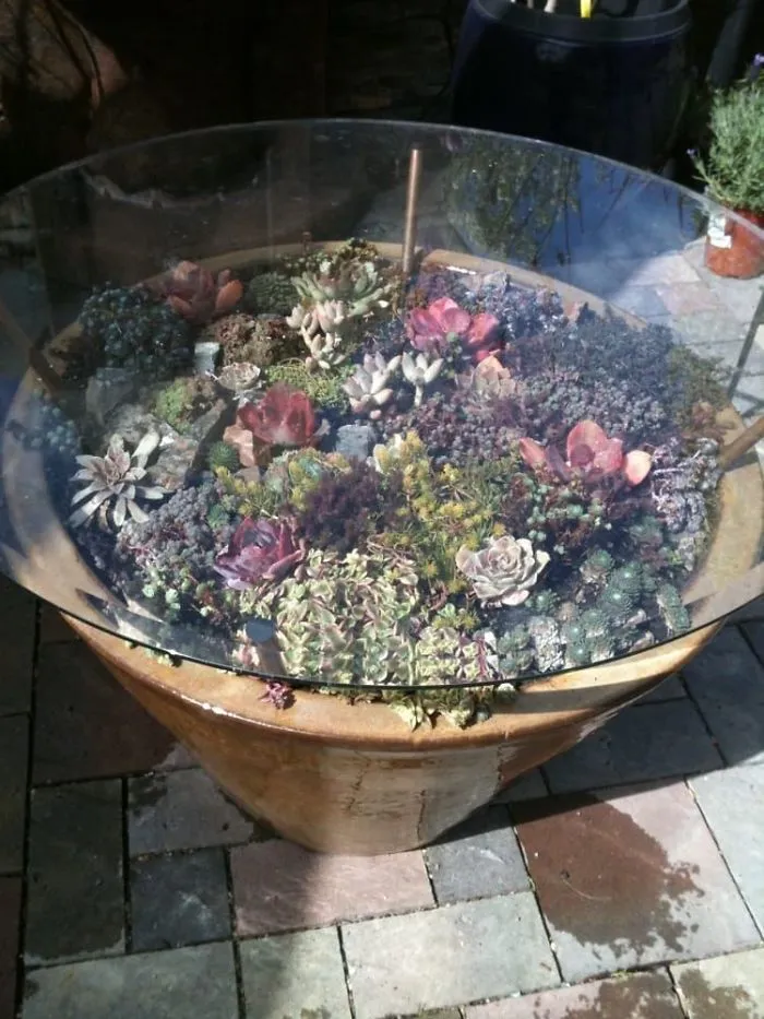 31 Times People Made Their Home Greener By Turning Tables Into Succulent Gardens