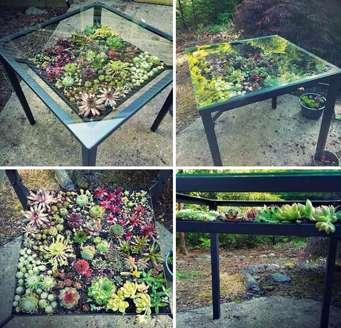 31 Times People Made Their Home Greener By Turning Tables Into Succulent Gardens