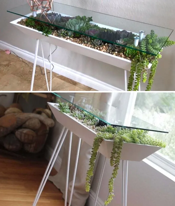31 Times People Made Their Home Greener By Turning Tables Into Succulent Gardens