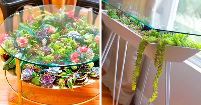 31 Times People Made Their Home Greener By Turning Tables Into Succulent Gardens