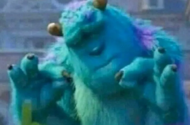 Sully Meme (1 Picture)