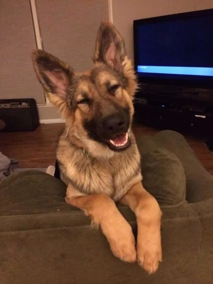 I Love This Happy Face