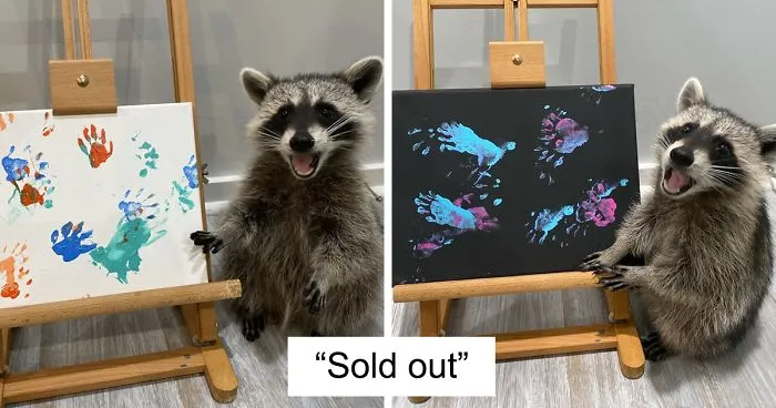 Proud Raccoon Artists Are Posing Next To Their Paintings And They Look So Happy