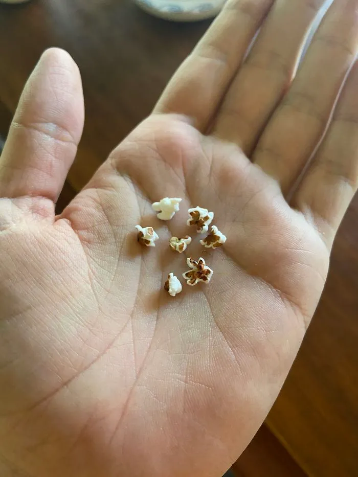 My Mom Microwaved Some Birdseed To Disinfect It Before Putting It In A Beanbag And Accidentally Made Tiny Popcorn