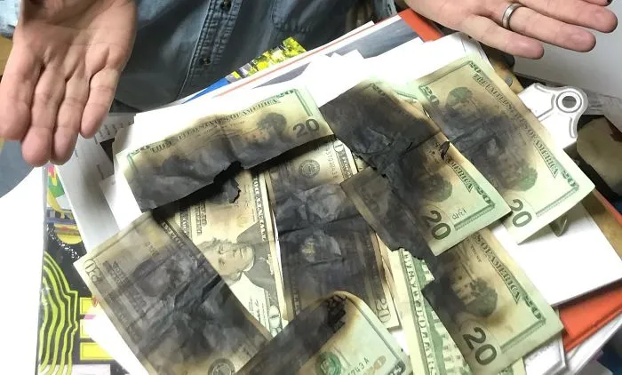 A Friend's Client Paid Him In Cash. He Put The Cash In The Microwave To Kill Traces Of Coronavirus