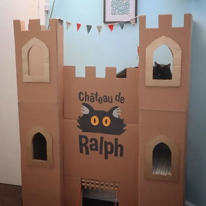 30 Times People Built Their Cats A Cardboard Fort And It's An Ecological Solution To Where To Put All The Boxes