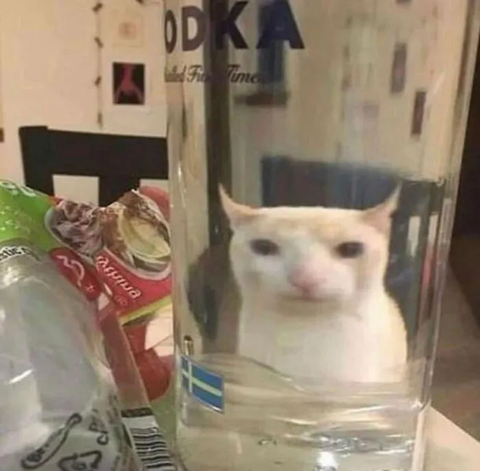 People Are Sharing Hilarious Distorted Pictures Of Animals Through Glasses (20 Pics)