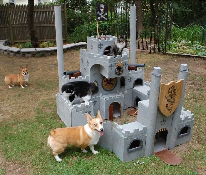 30 Times People Built Their Cats A Cardboard Fort And It's An Ecological Solution To Where To Put All The Boxes