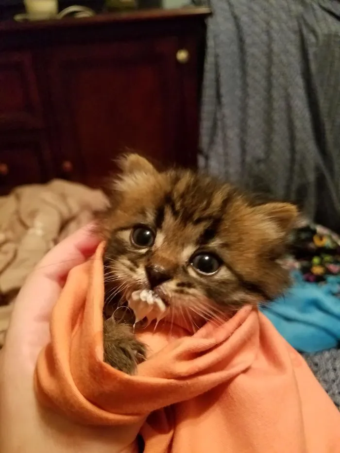 He's A Messy Eater