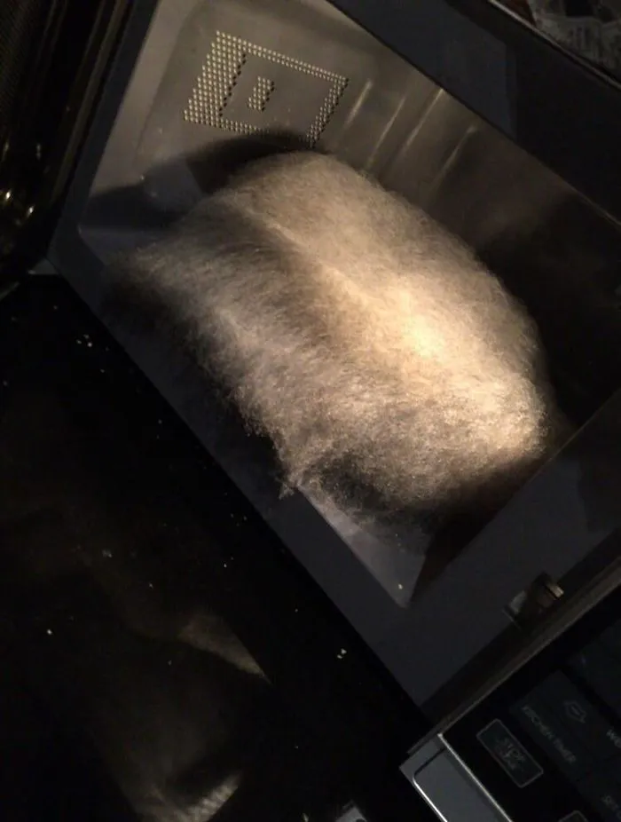 My Friend Opened Their Microwave And Couldn't Figure Out What This Was. It Was A Forgotten Slice Of Pizza