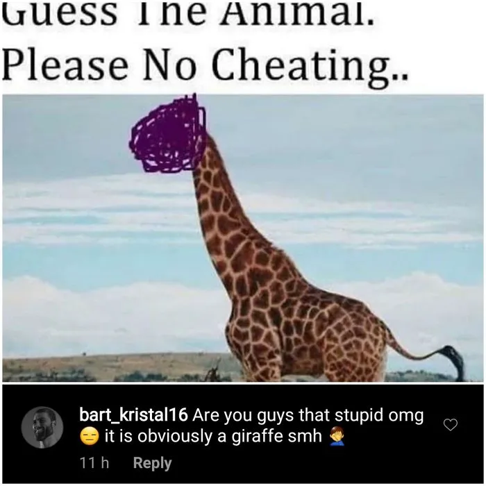 40 Times People Missed The Joke So Bad, They Embarrassed Themselves On The Internet (New Pics)