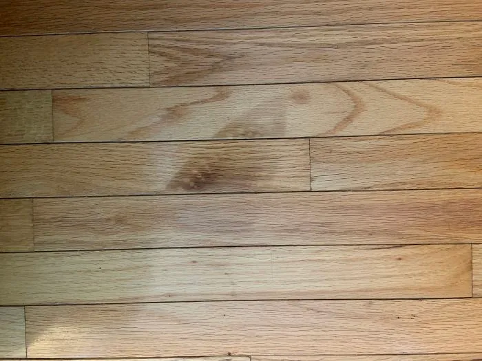 Dropped A Hot Iron On The Hardwood