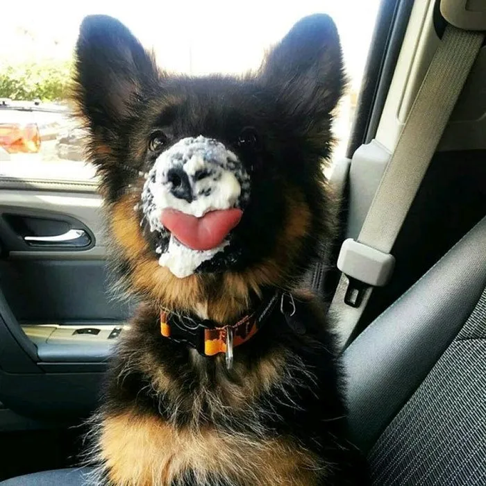 The Cutest *mlem* You'll See All Day
