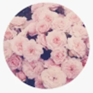 CHARLOTTE THAXTON