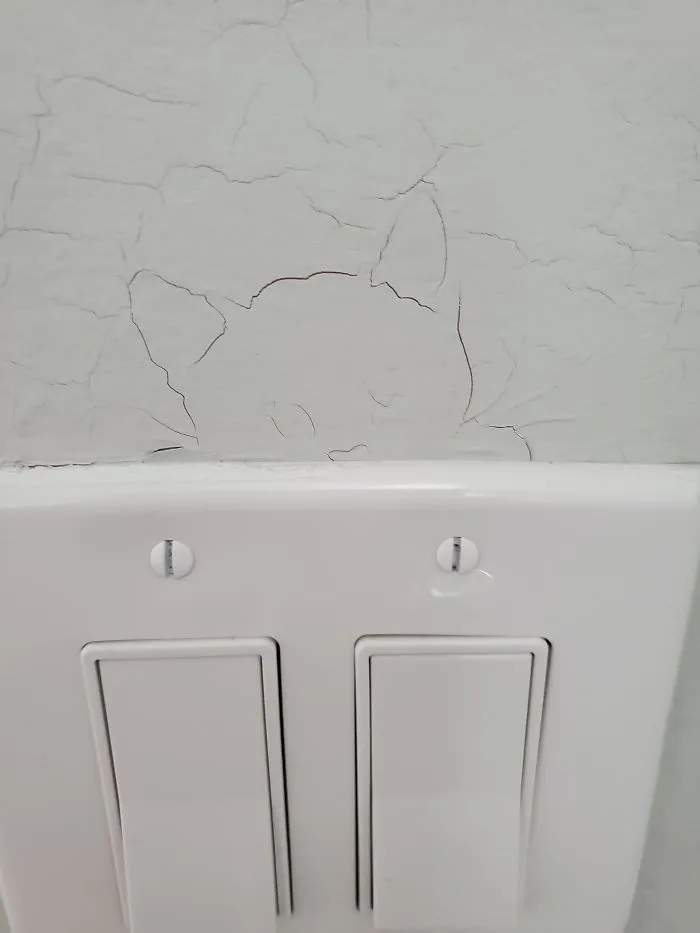 Cat Formed By Cracks Above My Light Switch
