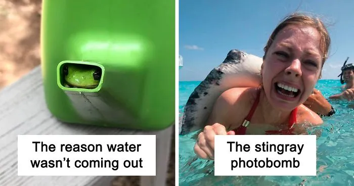 50 Funny Animal Posts That Will Leave You With The Biggest Smile