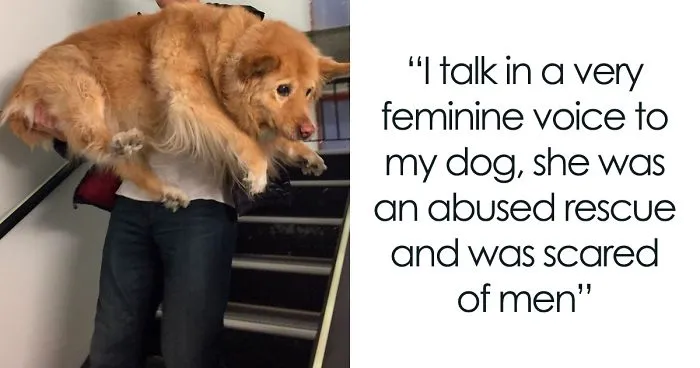 People Are Sharing Things Pets Accidentally Conditioned Them To Do (30 Answers)