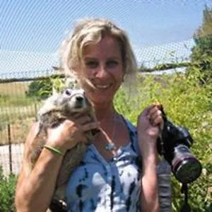 Pam Wood