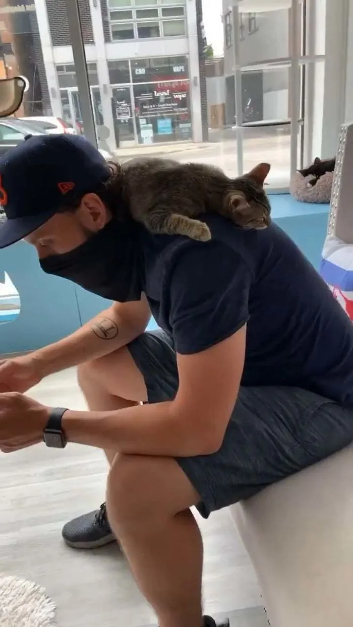 This Little Cutie Climbed Up On Me While I Applied To Adopt Her