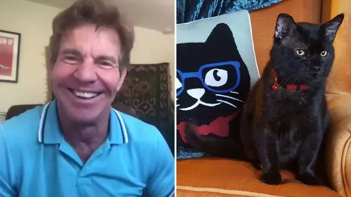 ‘I Just Couldn’t Resist’: Actor Dennis Quaid Is Adopting A Lynchburg Shelter Cat Named Dennis Quaid