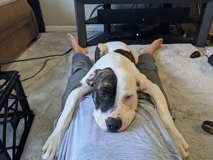 1 Month Of Being Adopted, Already My Best Bud!