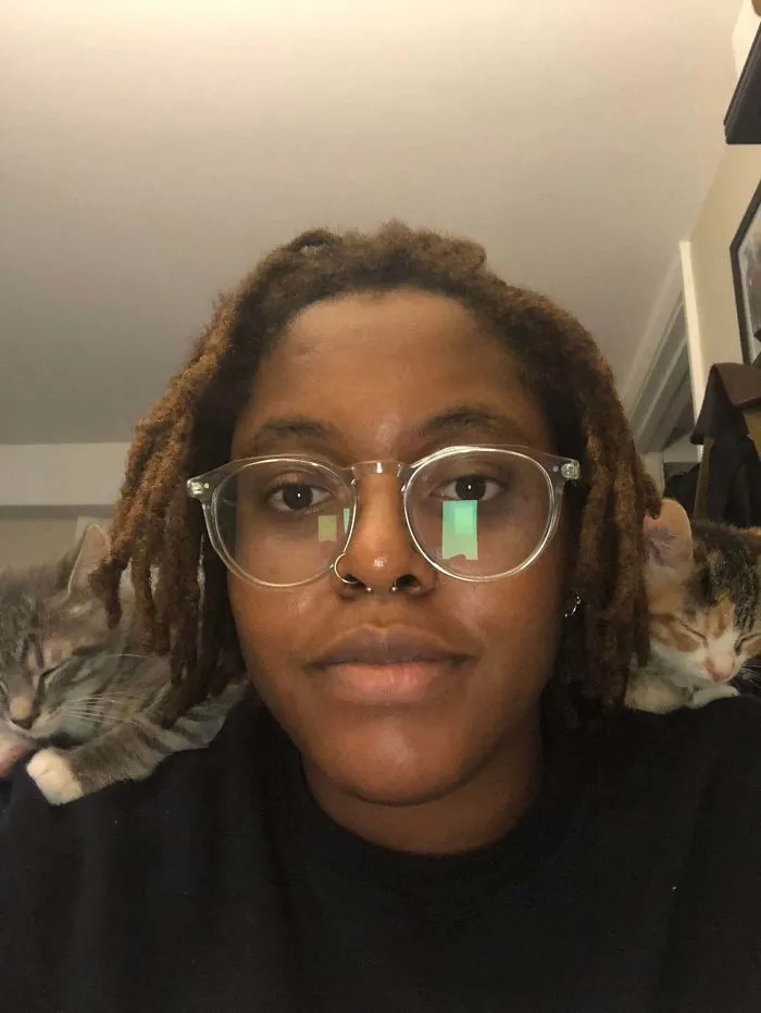 This Was My Endgame When I Decided To Adopt A Pair Of Kittens