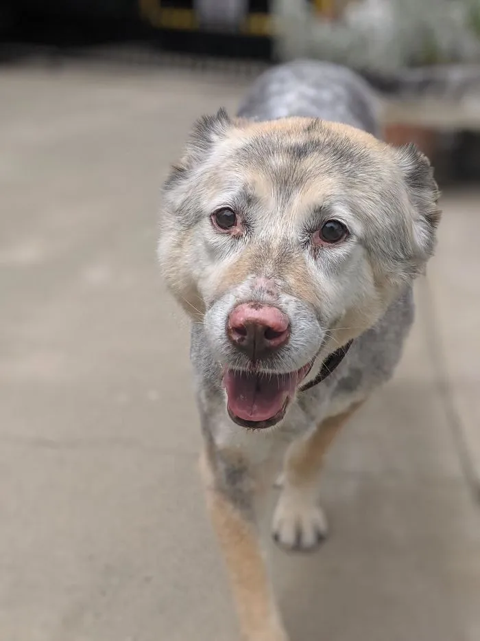 Our 14-Year-Old Girl, Still Smiling