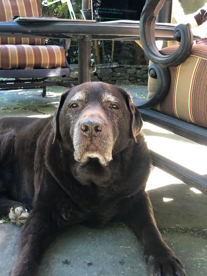 I Heard You Guys Might Like Muddy, He Just Turned 14 Yesterday