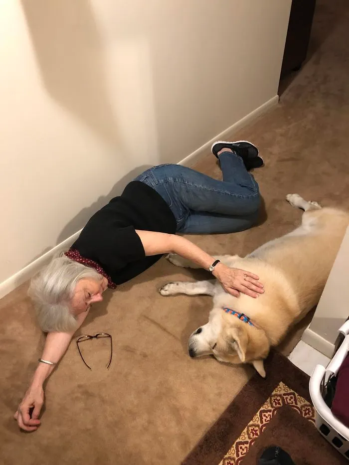 We Adopted A Senior Saint Named Mikey Yesterday And I Think It’s Safe To Say His First Trip To Grandma’s Went Well