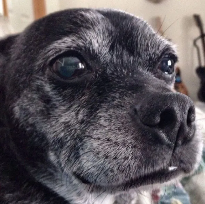 My Old Boy, Still Around After 25 Years