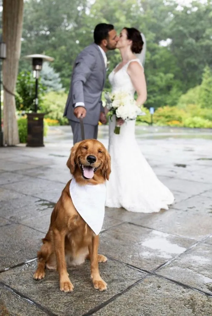 'they Hired A Photographer Just For Me!'