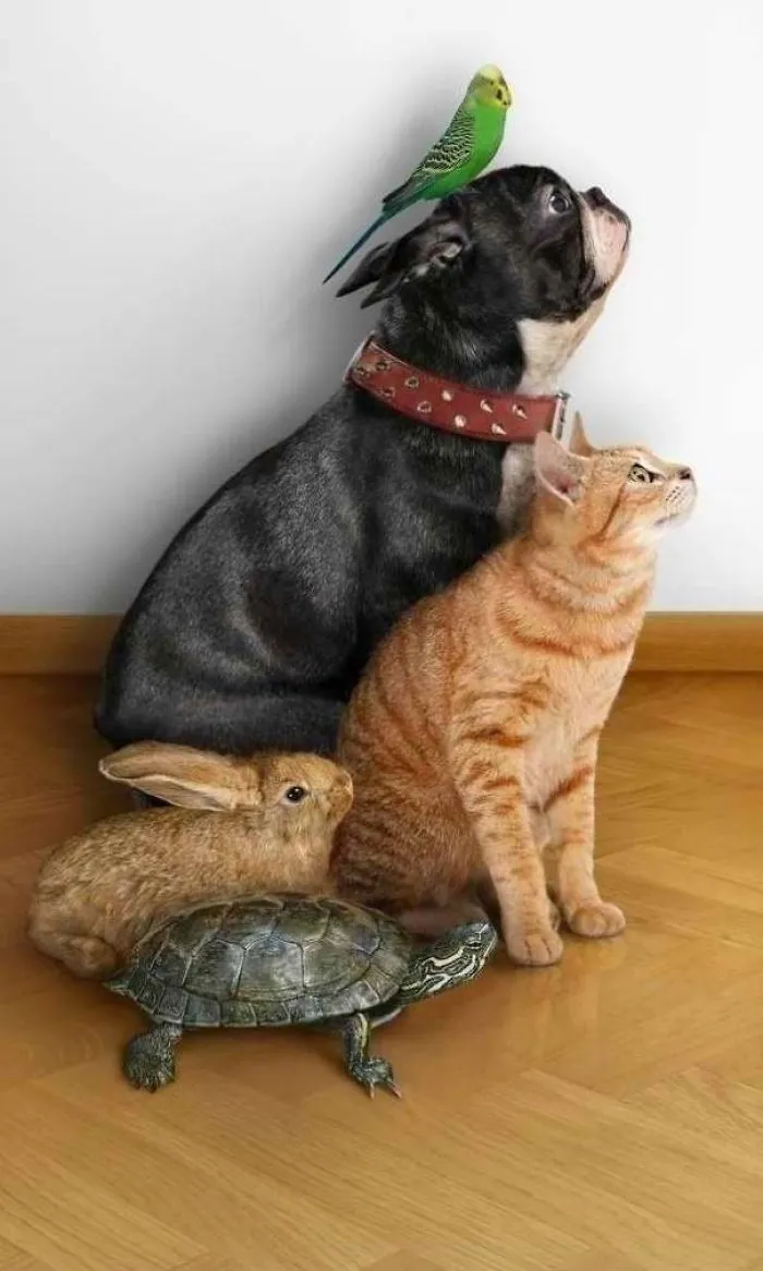 A Family Portrait