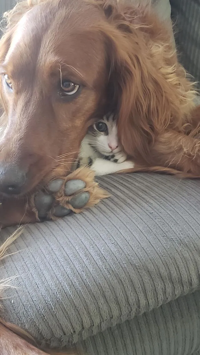 I Got You, Fren