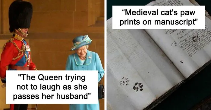 'Weird History' Is An Account That Shares Interesting, Odd, And Funny Things That Happened Throughout History
